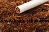 	Nabízím tabák, typ Blend americké, ekvivalent Marlboro Light a Marlboro červené Tabák je nejlepší kvality má příjemnou vůni a odpovídající vlhkost. Ceny začínají od 600 korun za kilogram.K ceně je nutné připočítat poštovné 160 kč a to bez ohledu na množstviJestemPolak a odesílám zásilky s Polska poštou .Doba doručeni je asi 3-6 dny.
Zakázky realizované prostřednictvím webové stránky w.w.w.levne-tabak.c.o.m Vzhledem k tomu, že nemám bankovní účet v České republice, nemohu poslat balíčky na dobírku.
Proto požaduji platbu předem na účet.
Można také platit přes paypal platby.
V Polsku prodává prostřednictvím internetových stránek w.w.w.tytonie.e.u Neváhejte a nakupujte Jacek