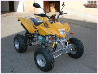 ATV 200 GHOST 200 Cat Brier